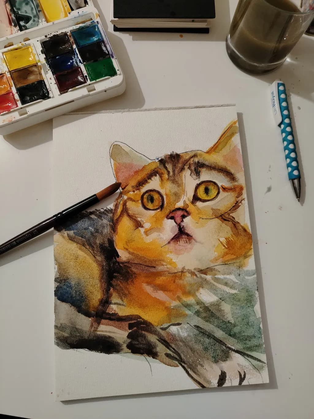 Wide-Eyed Tabby