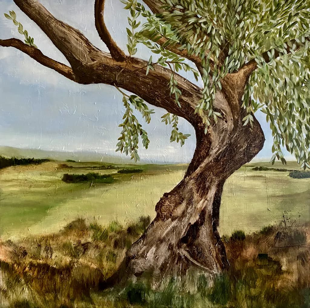 Olive Tree I
