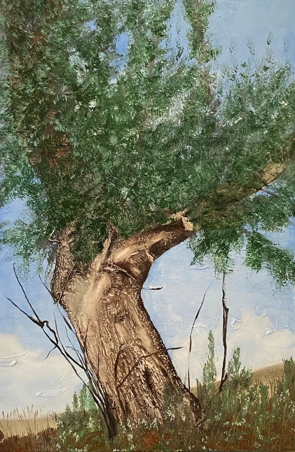 Olive Tree III (Study)