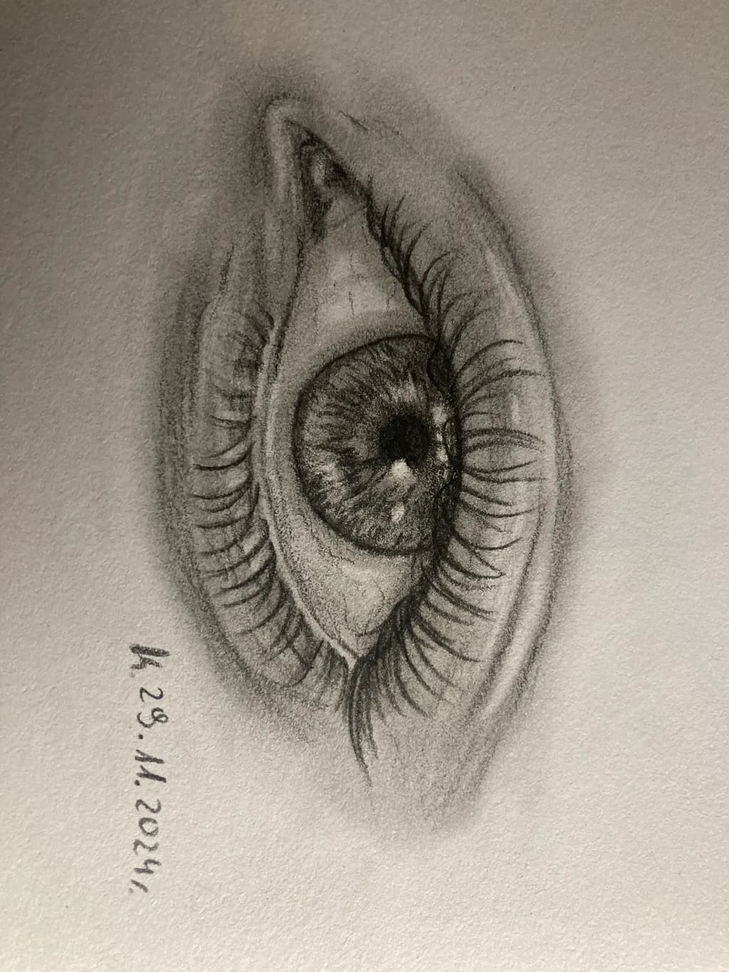 Focused Gaze