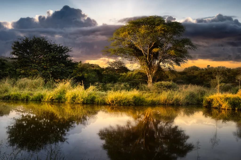 Unreal Landscape