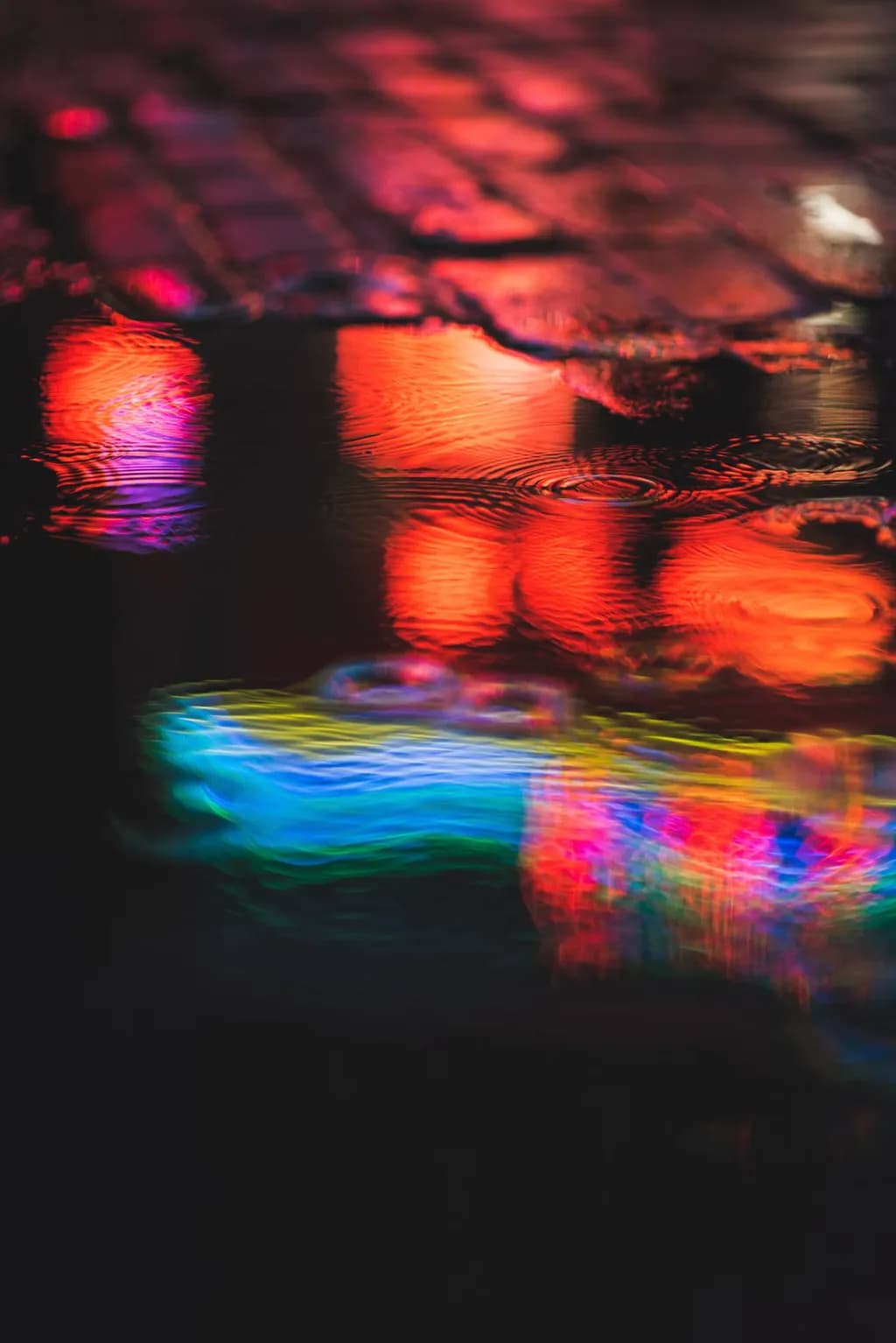Neon Reflection