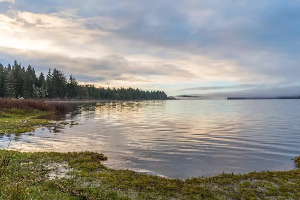 Misty Lake Shoreline