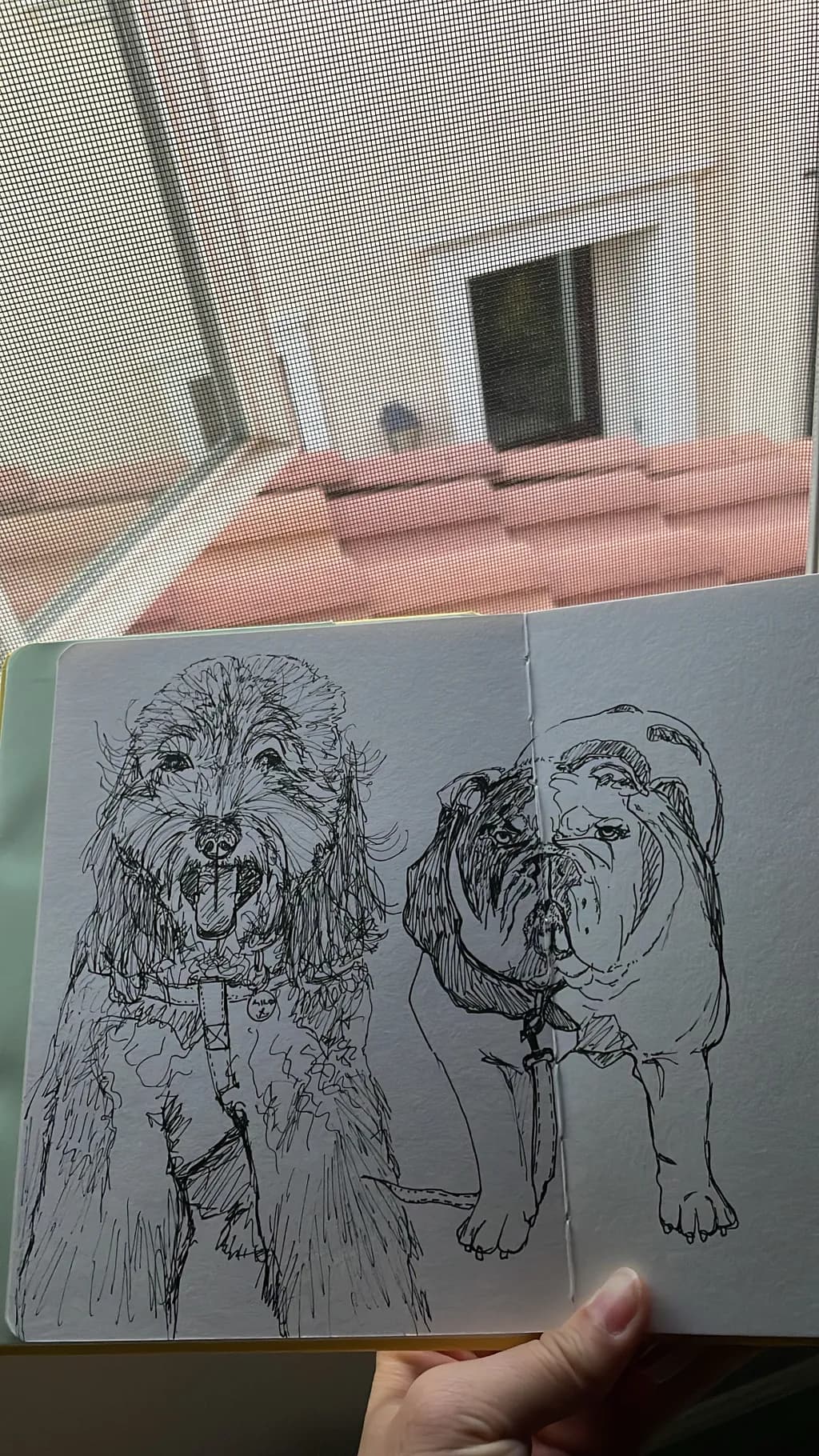 Leashed Companions