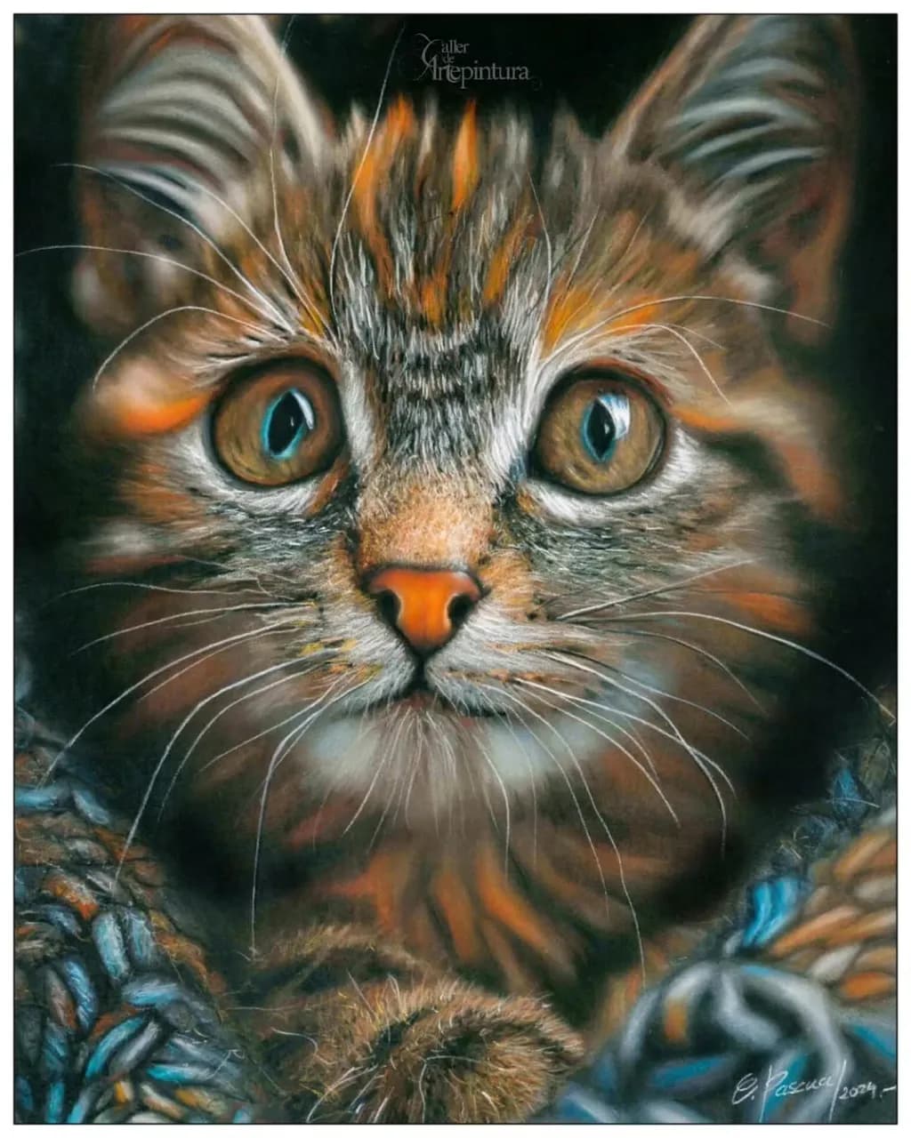 Inquisitive Whiskers