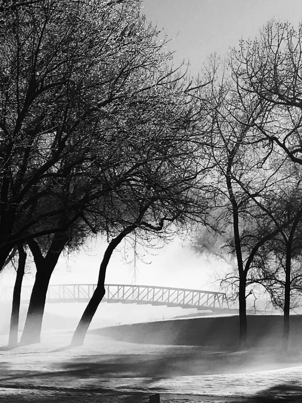 Misty Crossing