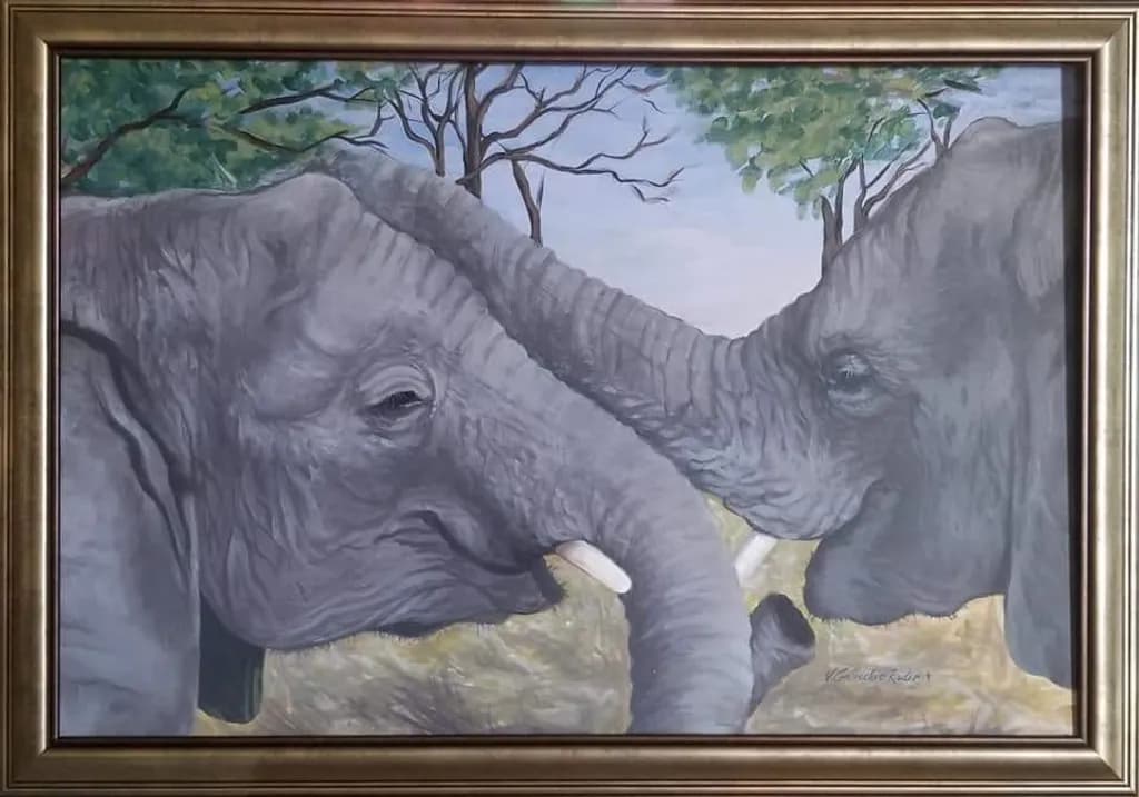 Elephant Connection