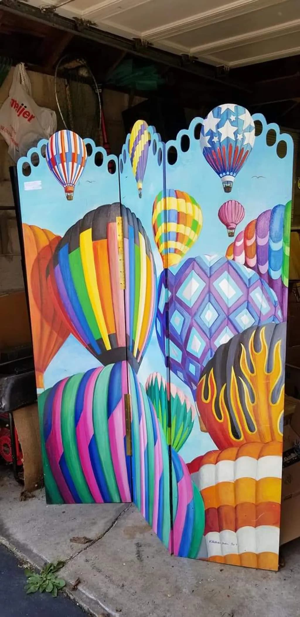 Colorful Hot Air Balloons Screen