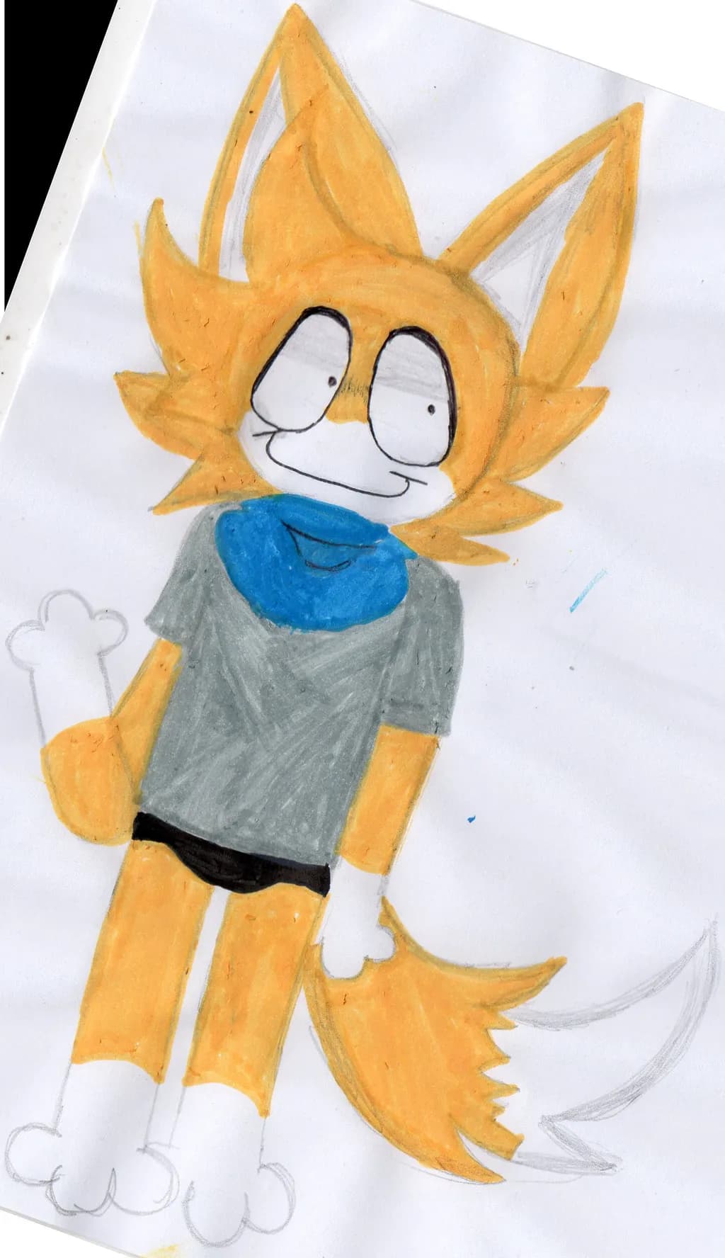 Casual Fox