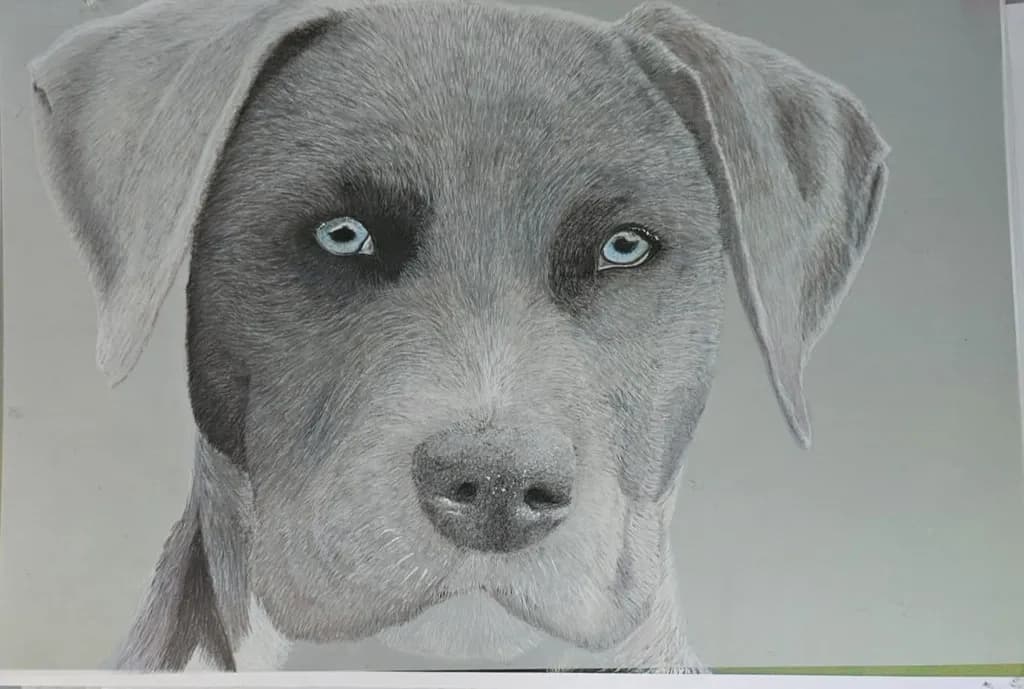 Blue-Eyed Dog Portrait