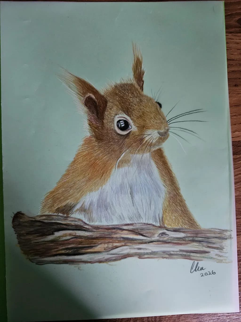 Curious Squirrel