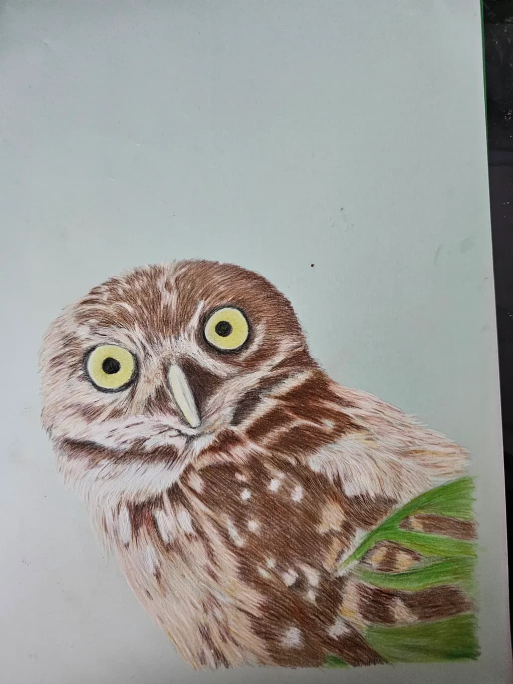 Wide-Eyed Watcher