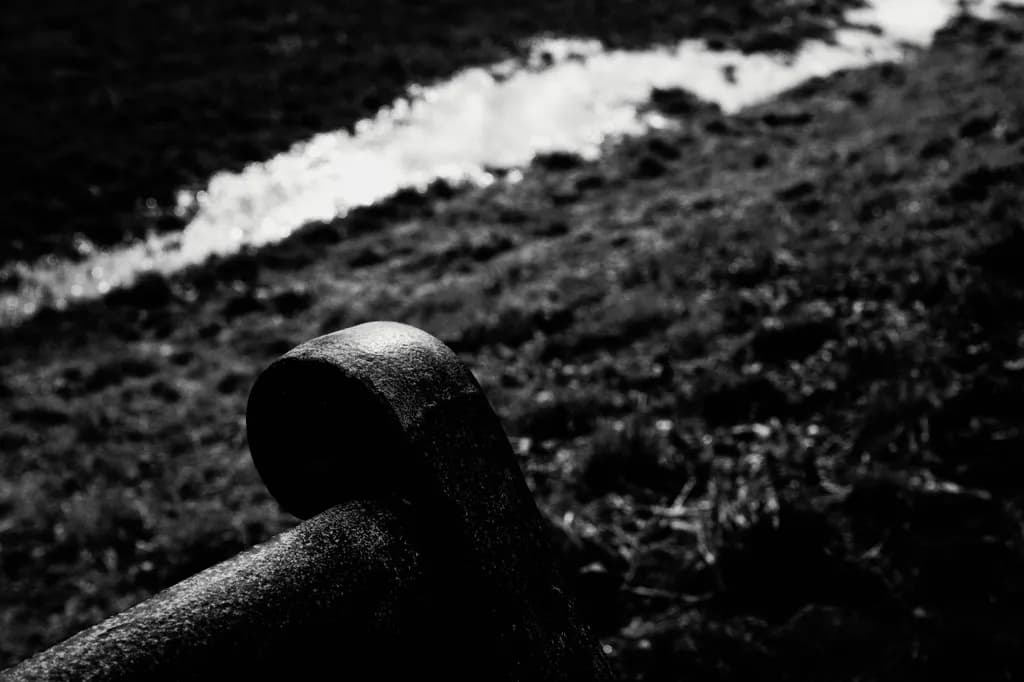 Curved Contrast