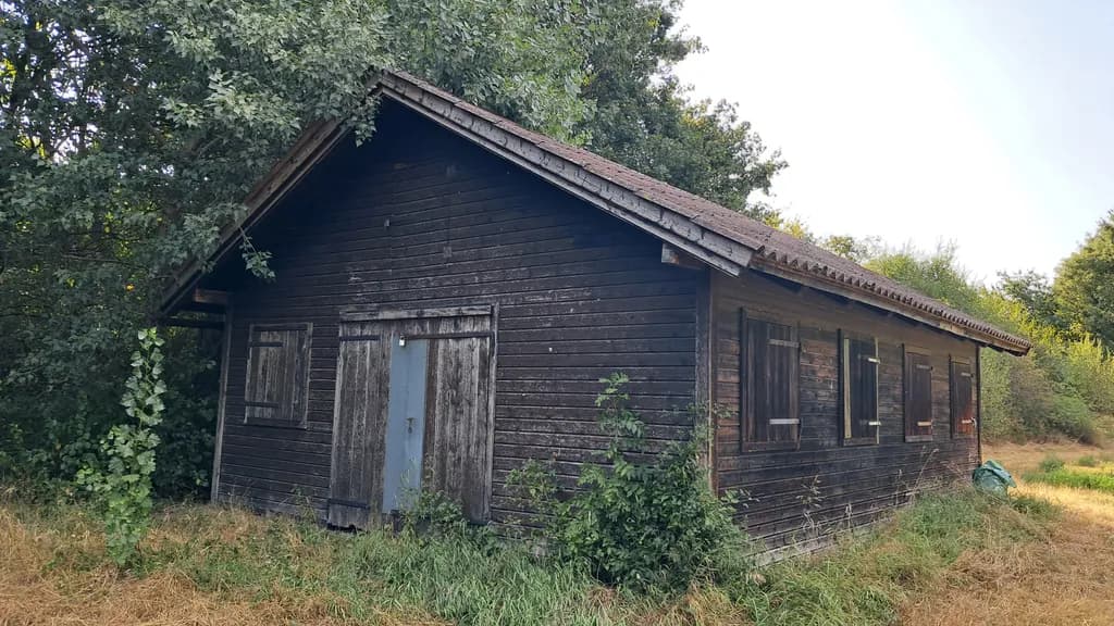 Overgrown Cabin