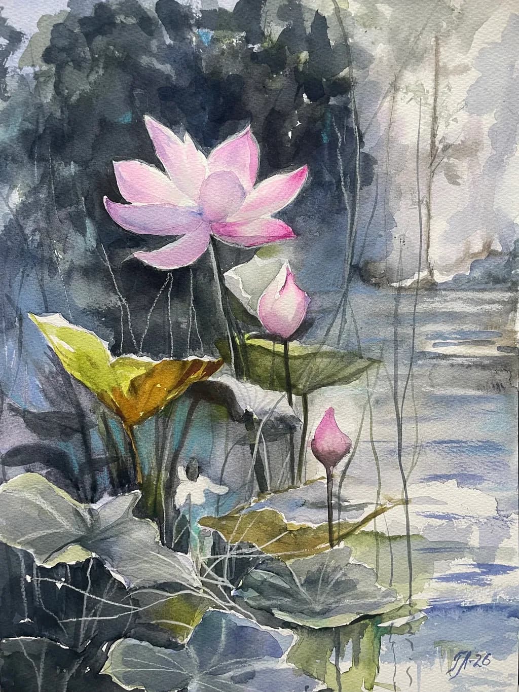 Lotus Reflection