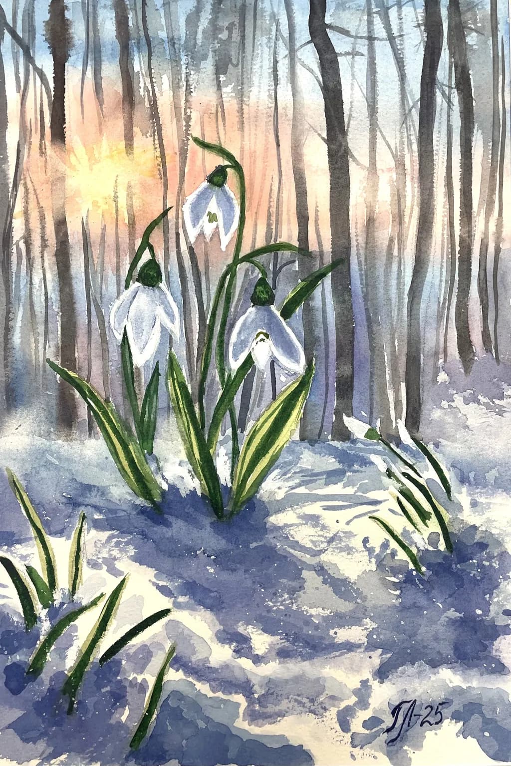 Snowdrop Awakening