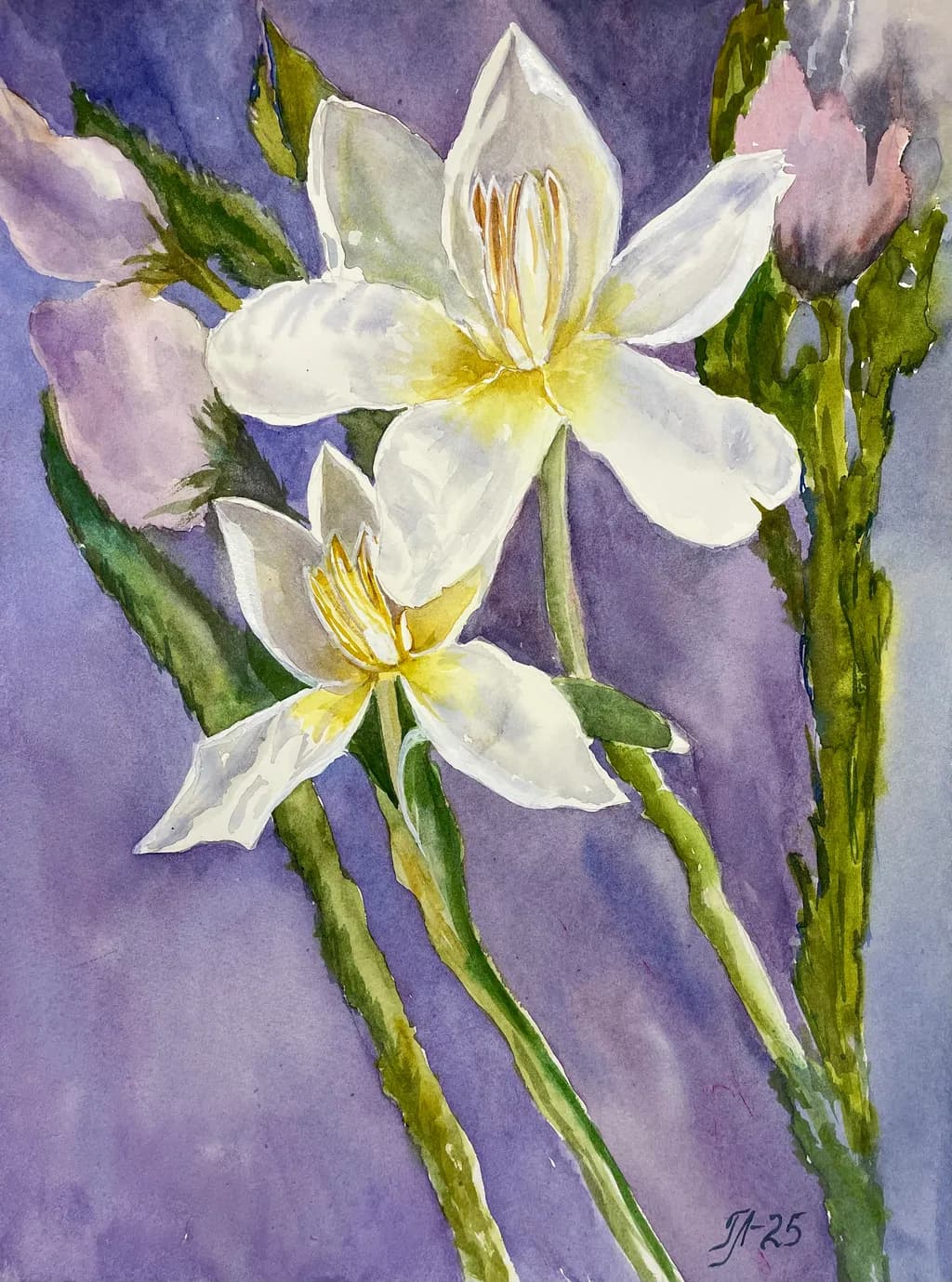Lily Bloom