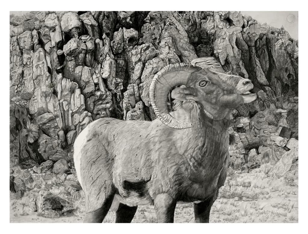 Calling All Ewes