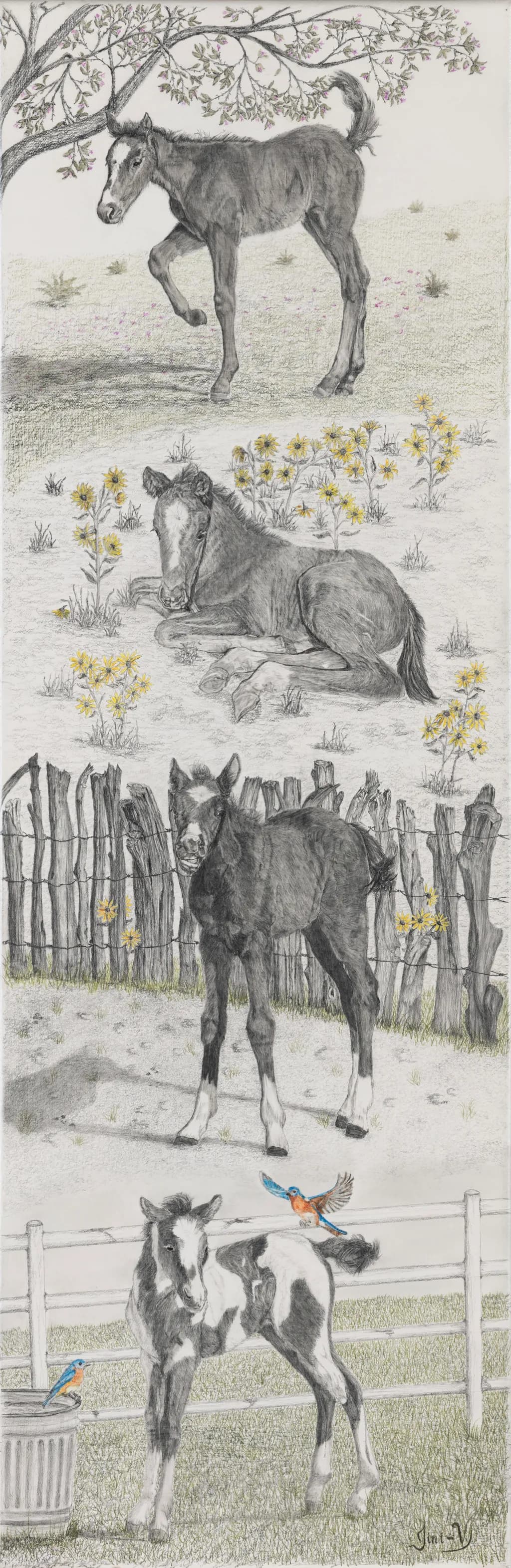 Foal Seasons