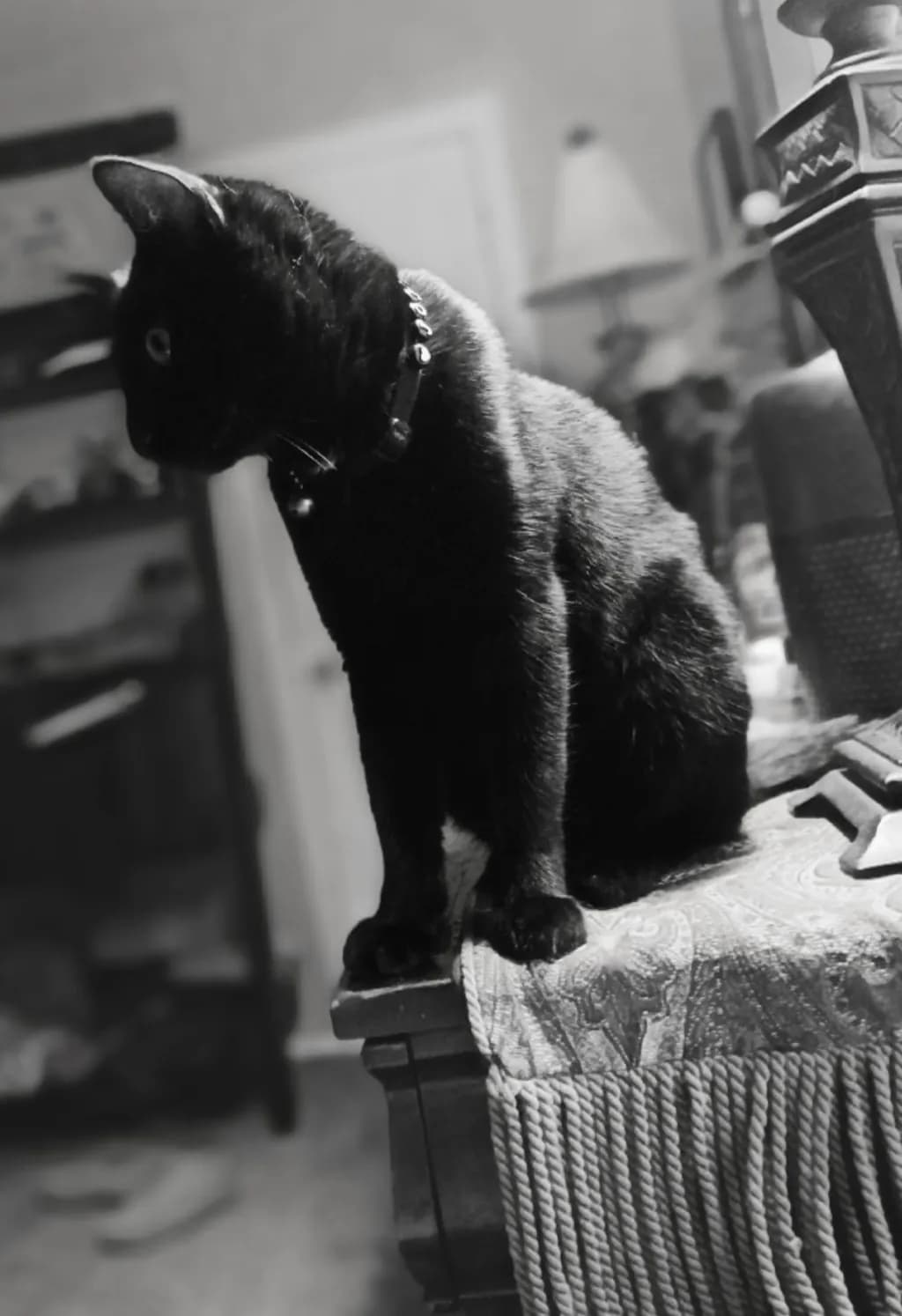Shadowed Watcher