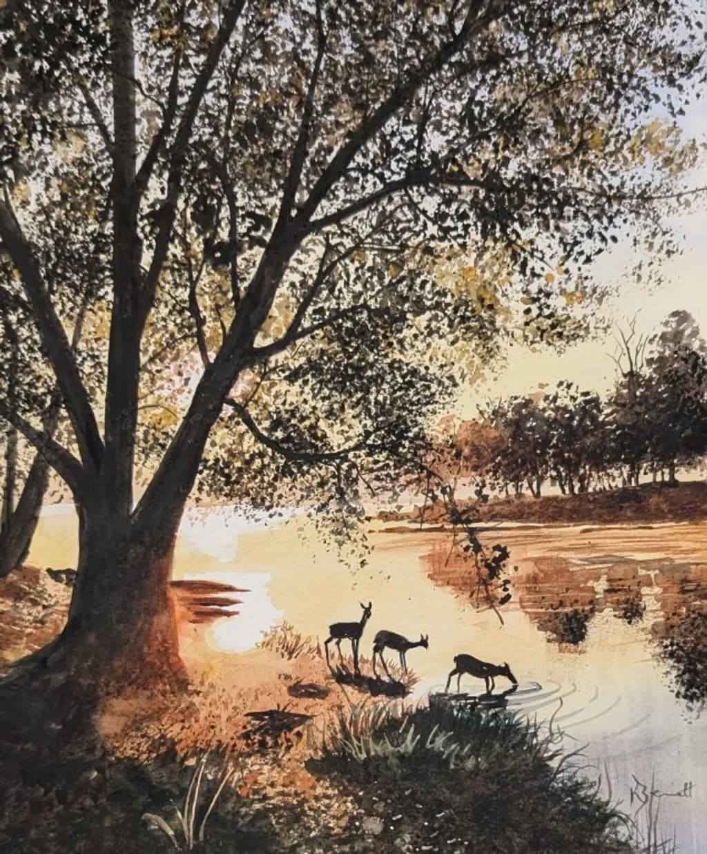 Evening Sun