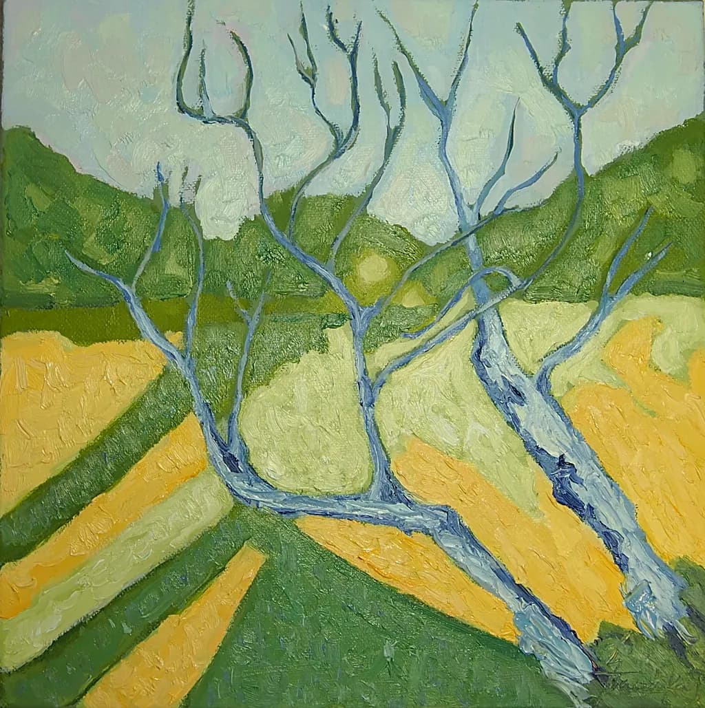 Branch Geometry