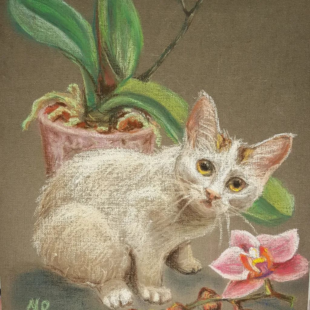 Curious Companion
