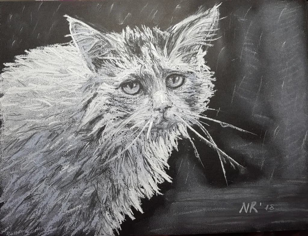 Rain-soaked Watcher