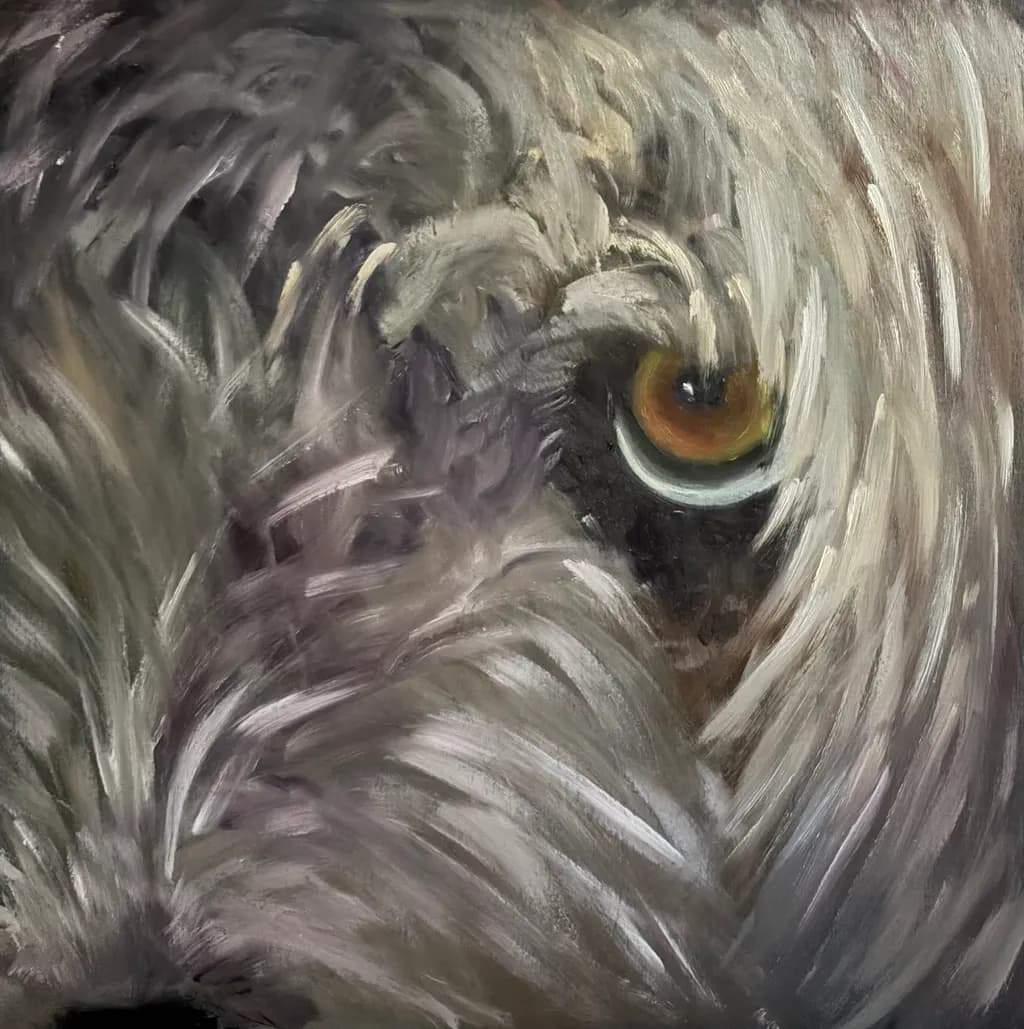 Eagle Eye Close-up