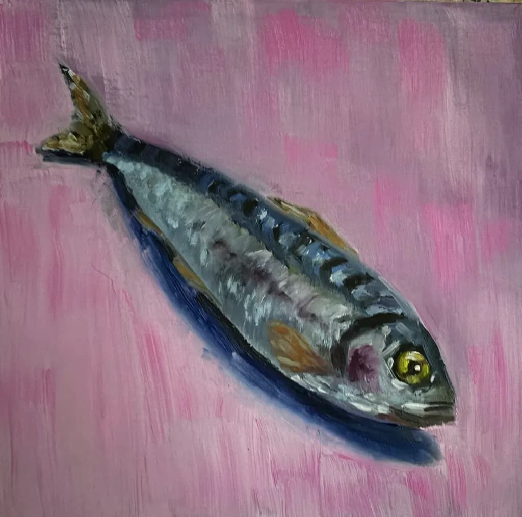 Mackerel on Pink