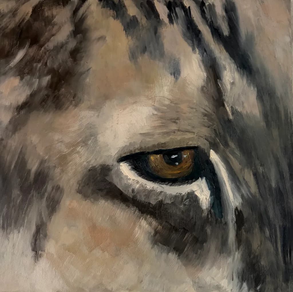 Lion Eye Close-Up
