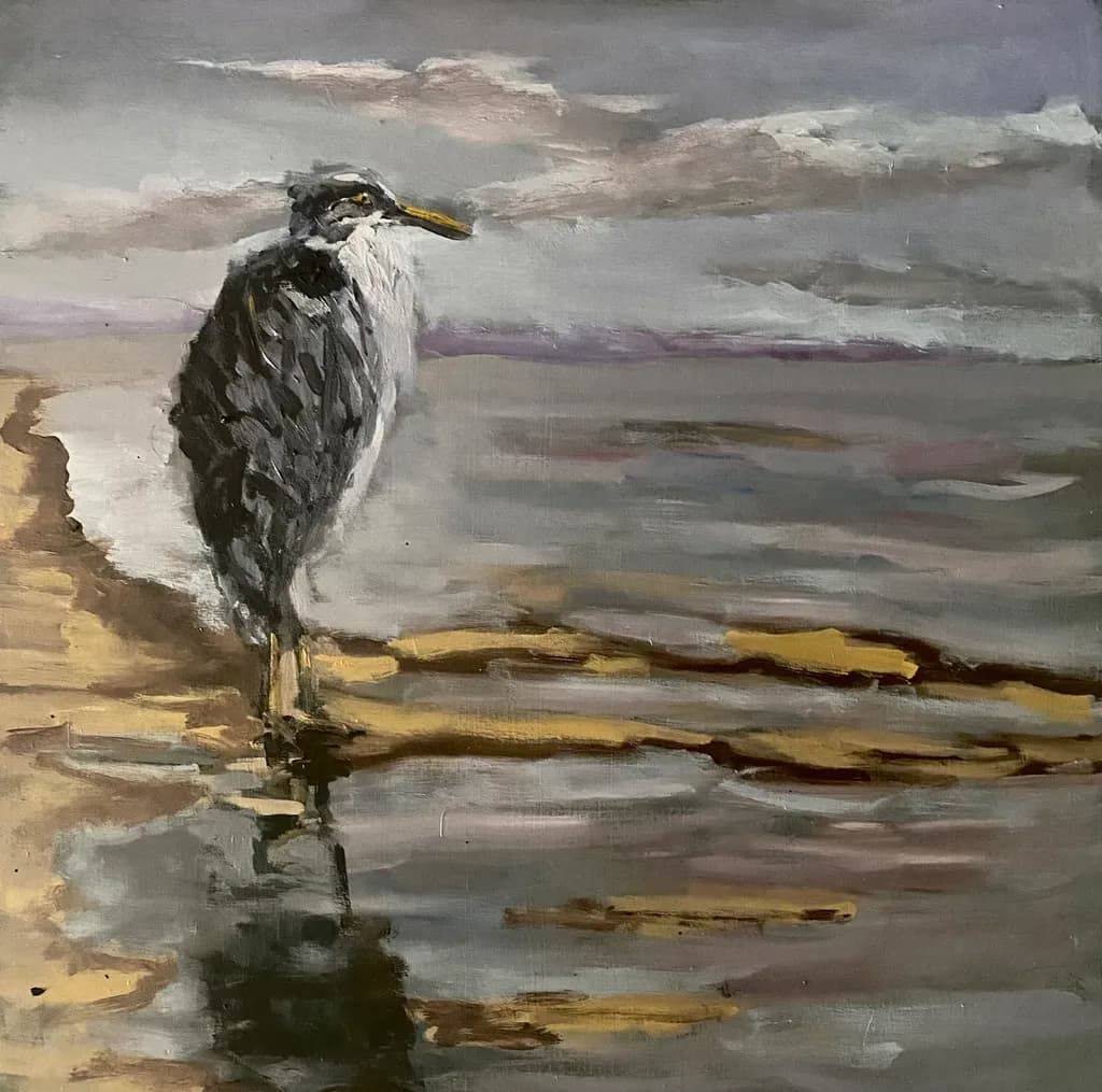 Shoreline Watcher