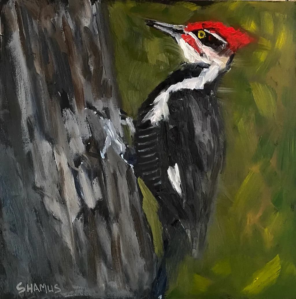 Pileated Presence