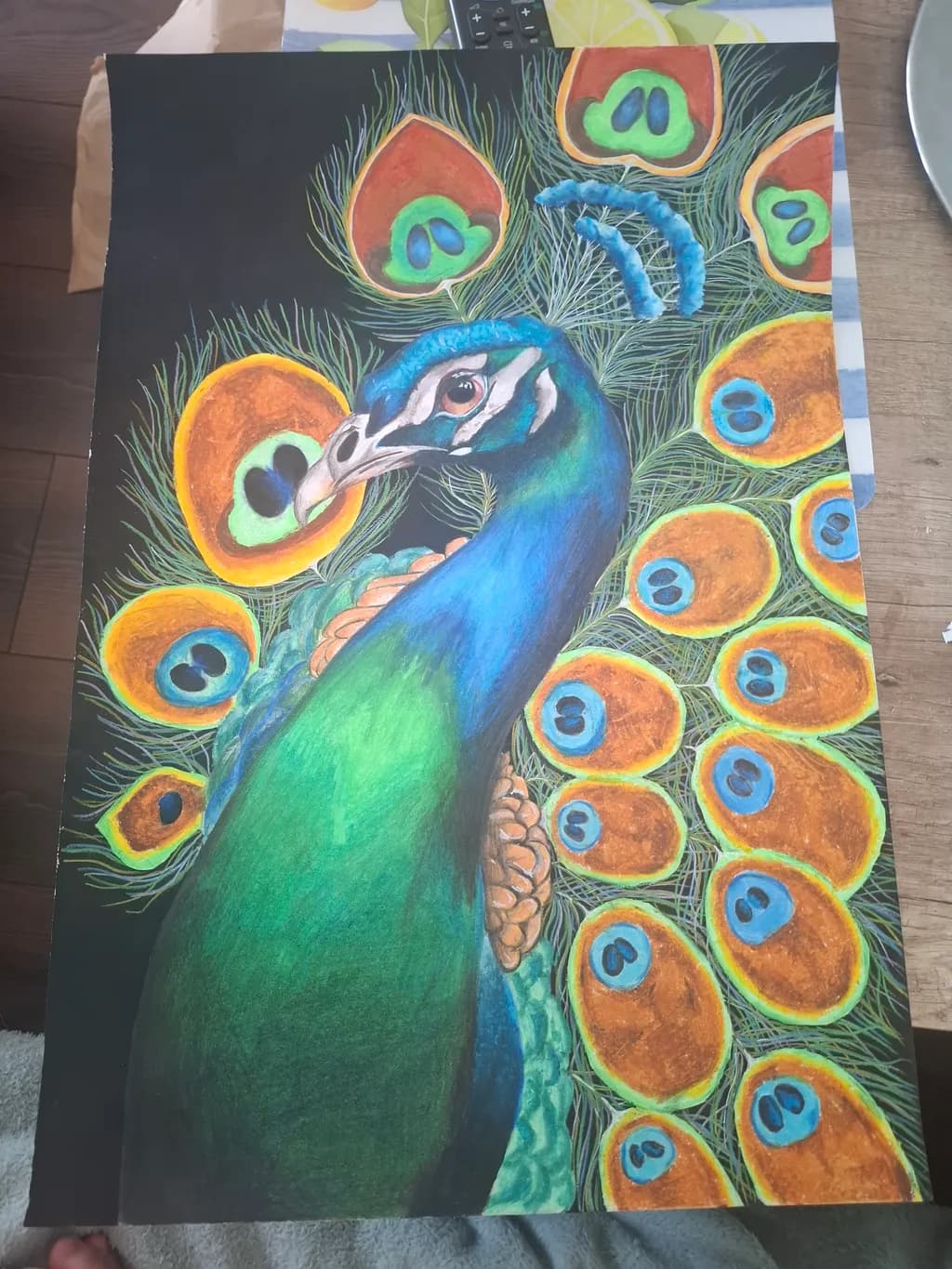 Peacock Splendor