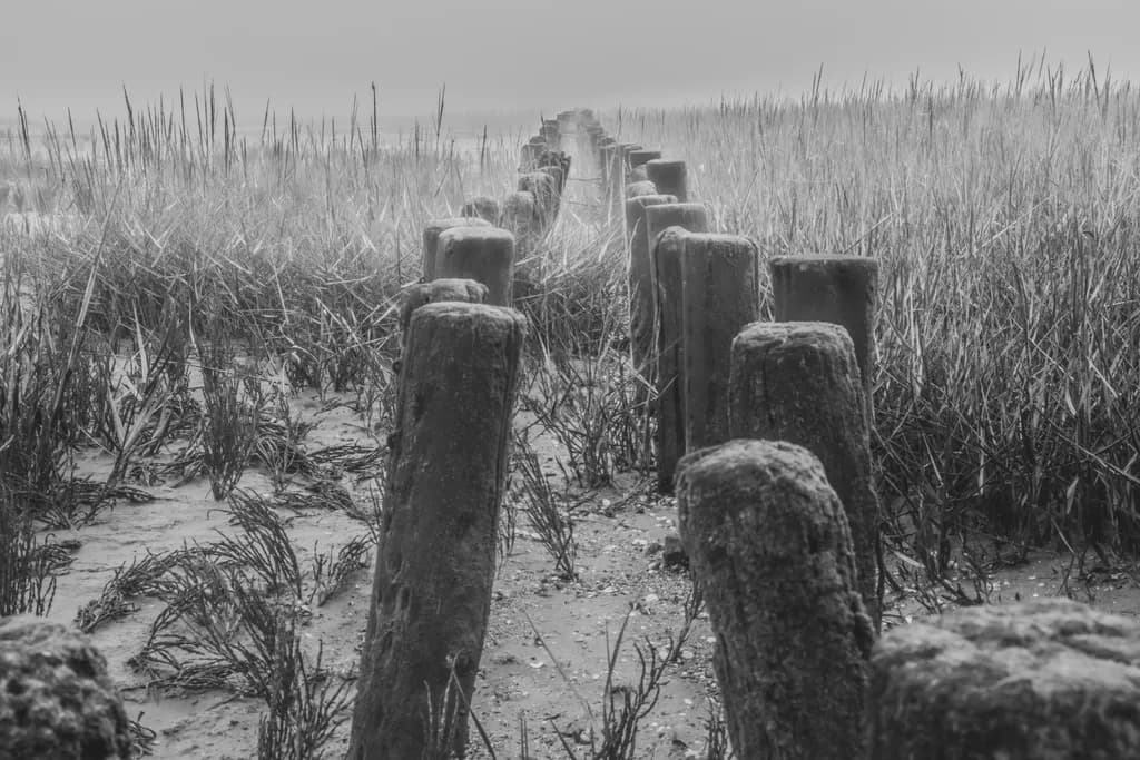 Weathered Pathway