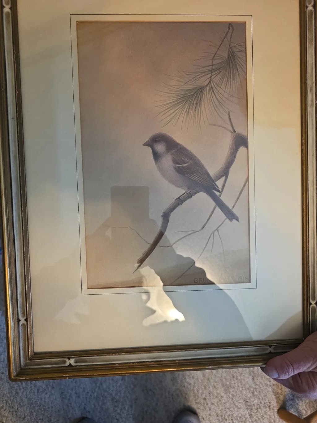 Silent Perch