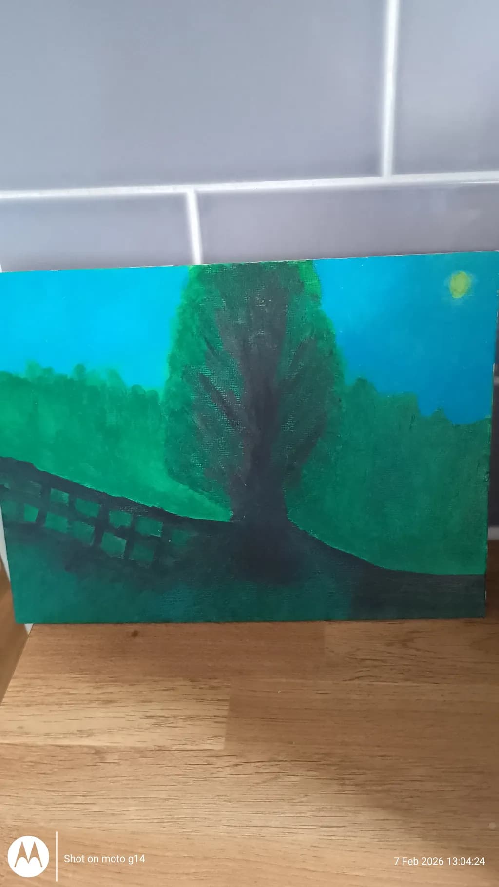 Moonlit Meadow