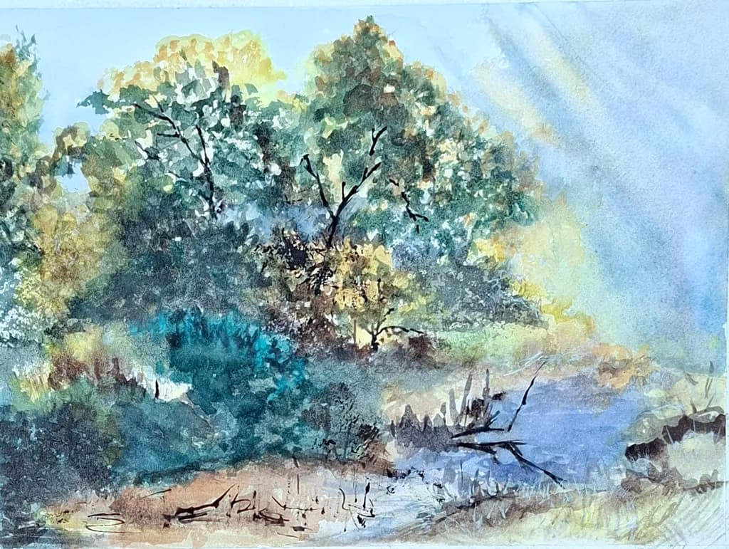 Misty Woodland Reflection