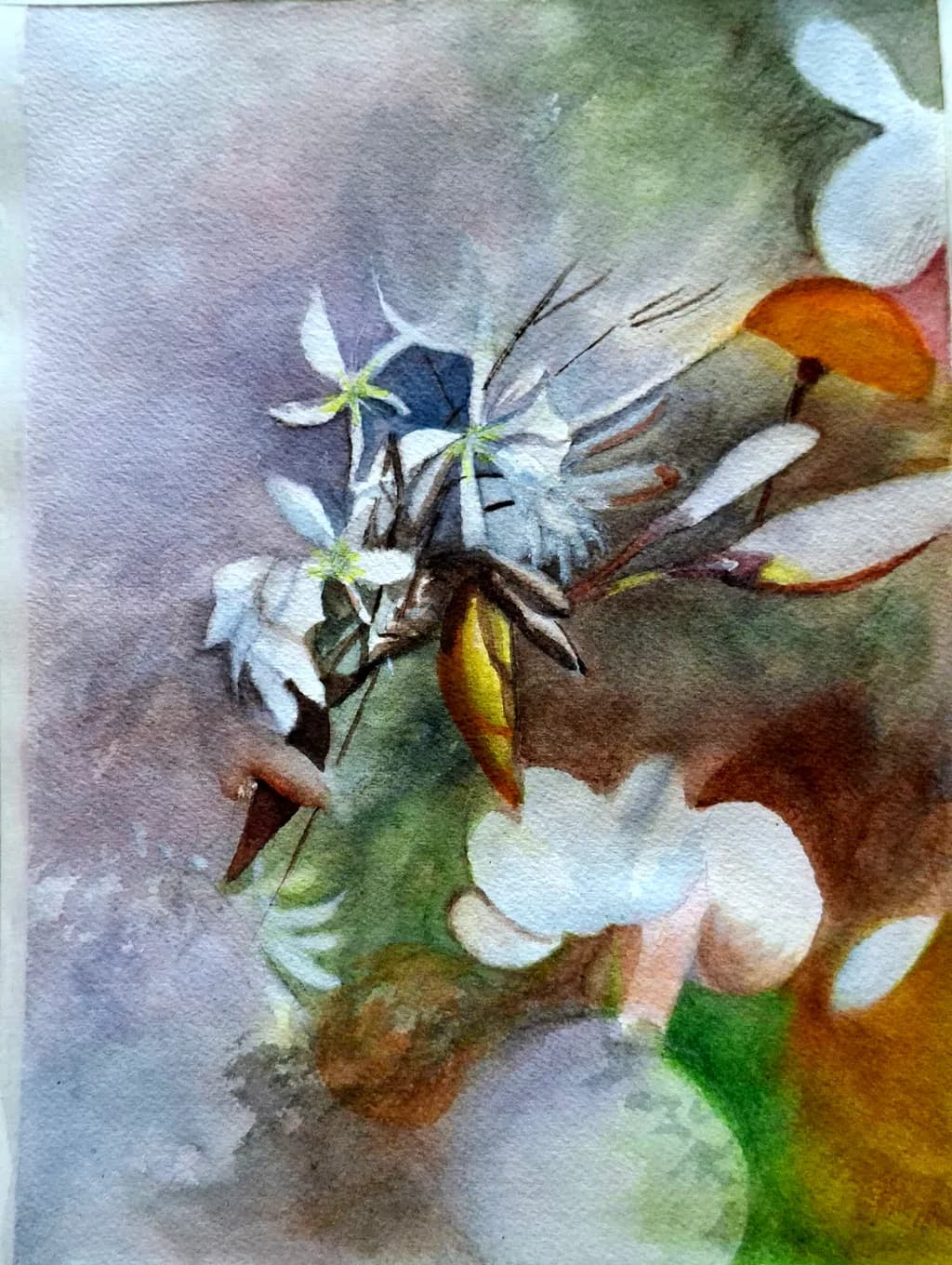 Quiet Blossom