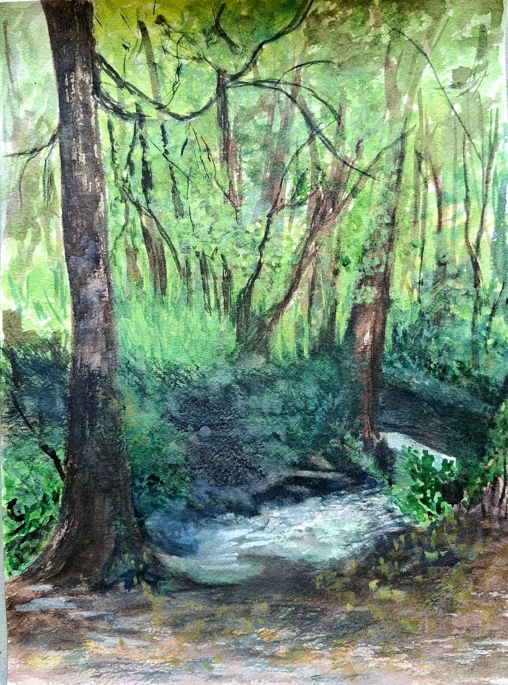 Forest Stream