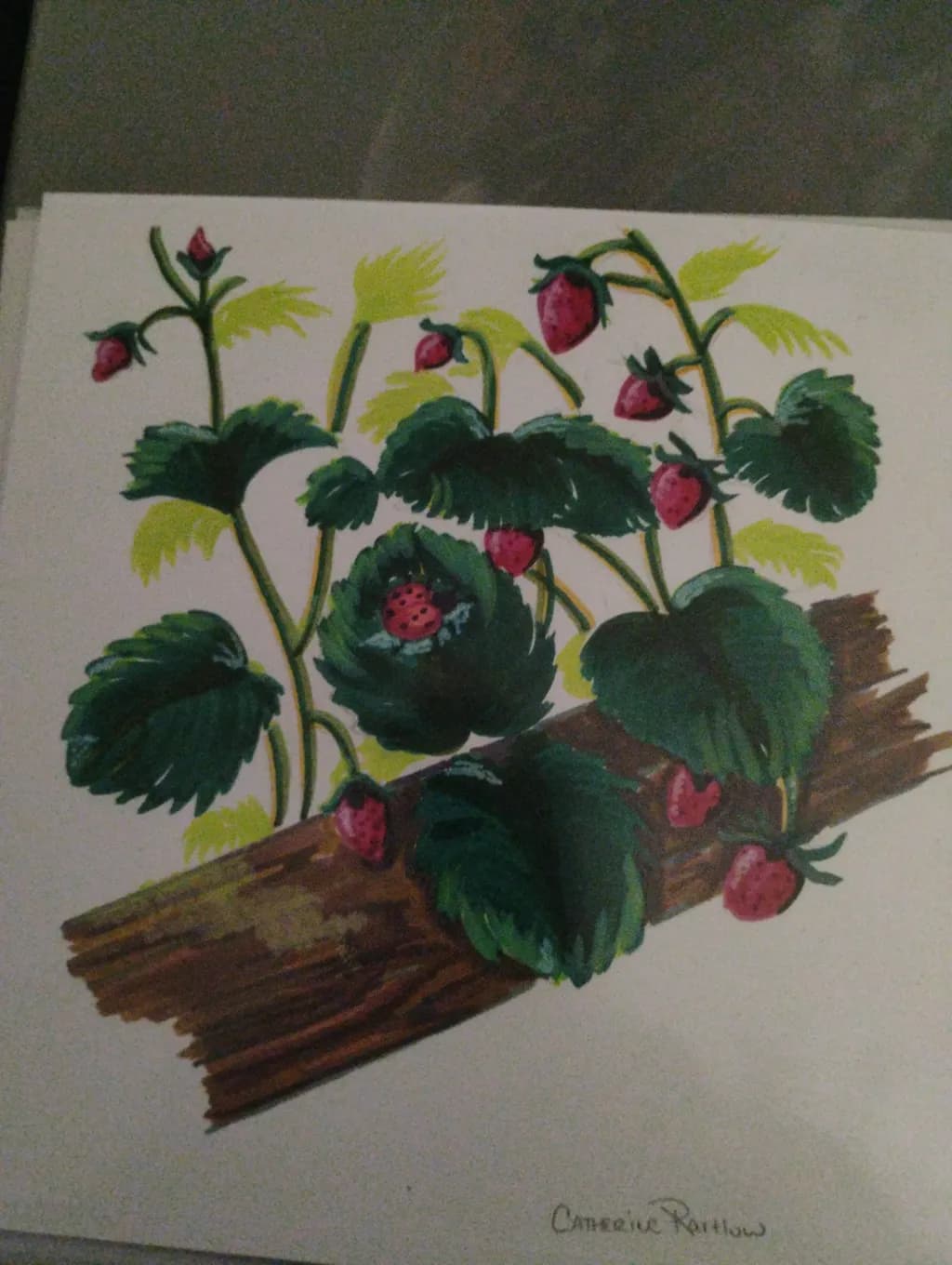 Strawberry Bounty
