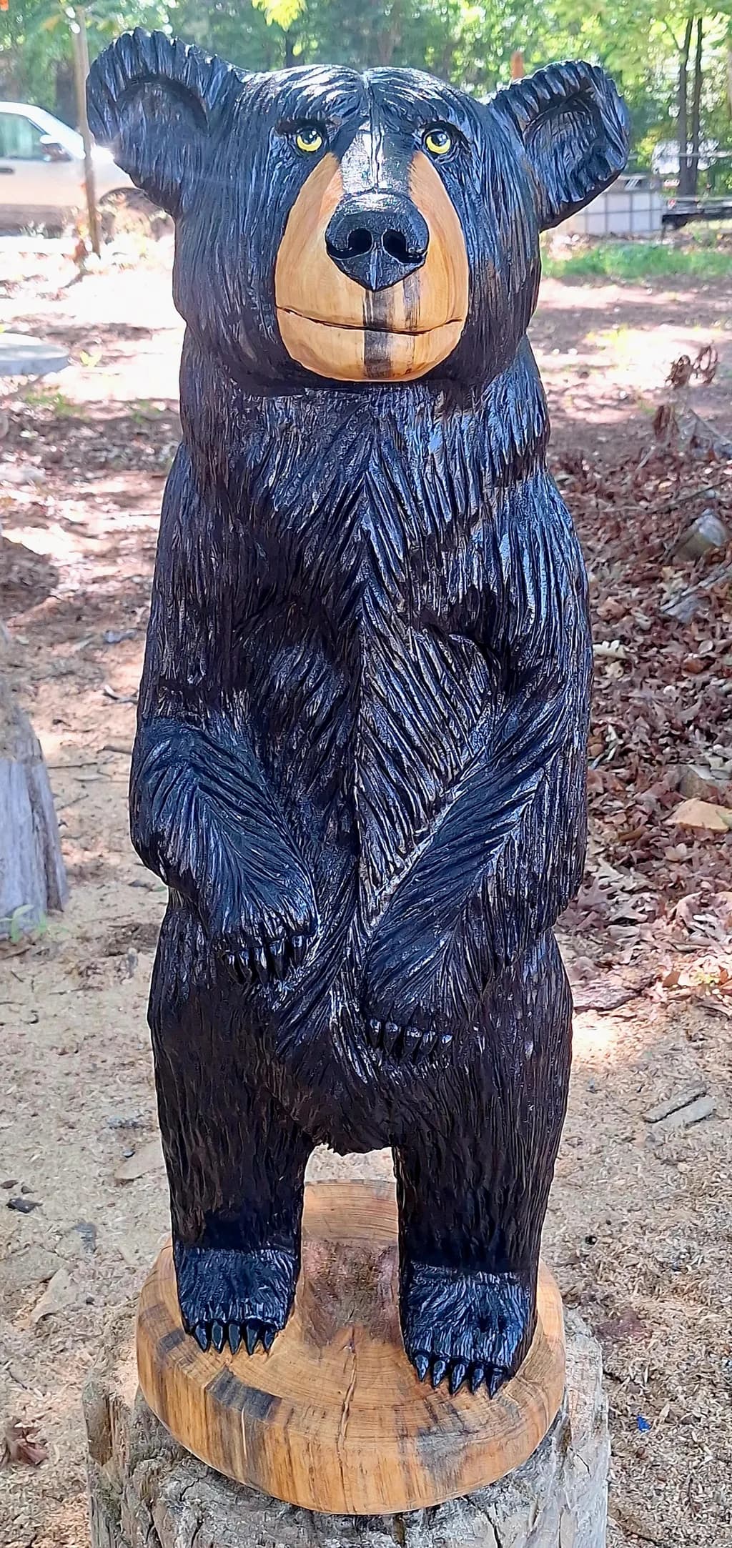 Timber Bear Sentinel