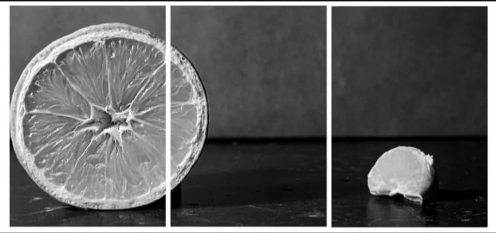 Citrus Progression