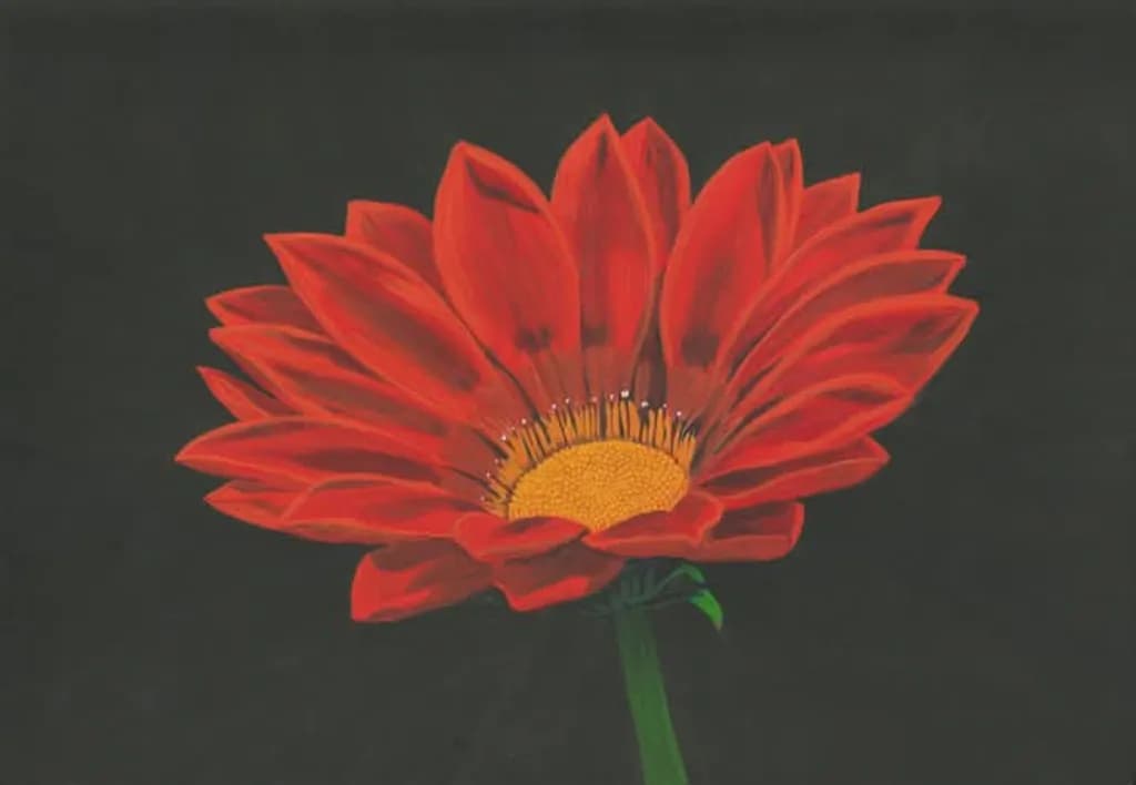Radiant Bloom