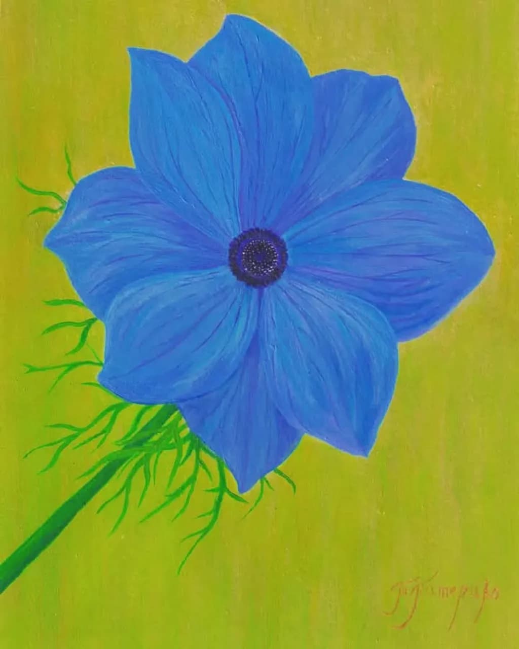 Blue Anemone