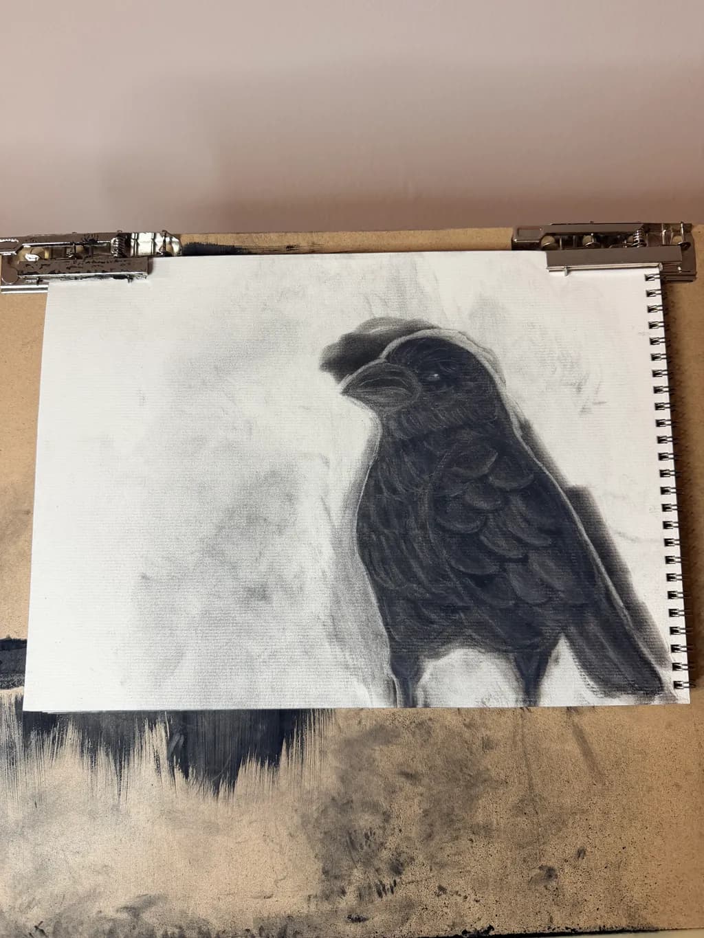 Shadowed Finch