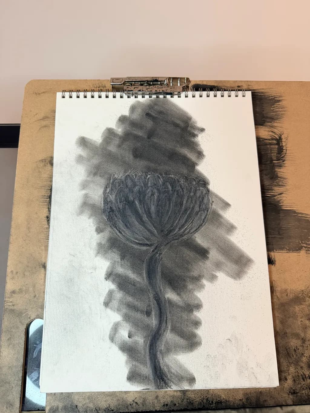Shadowed Bloom