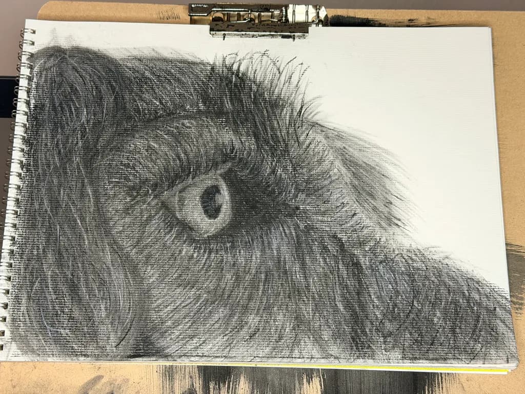 Focused Gaze