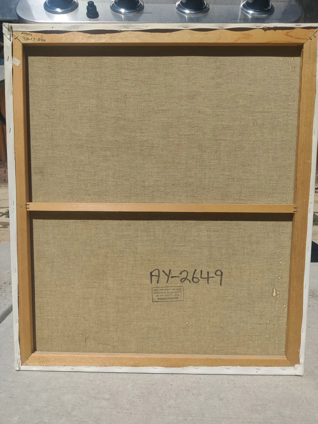Canvas Backdrop