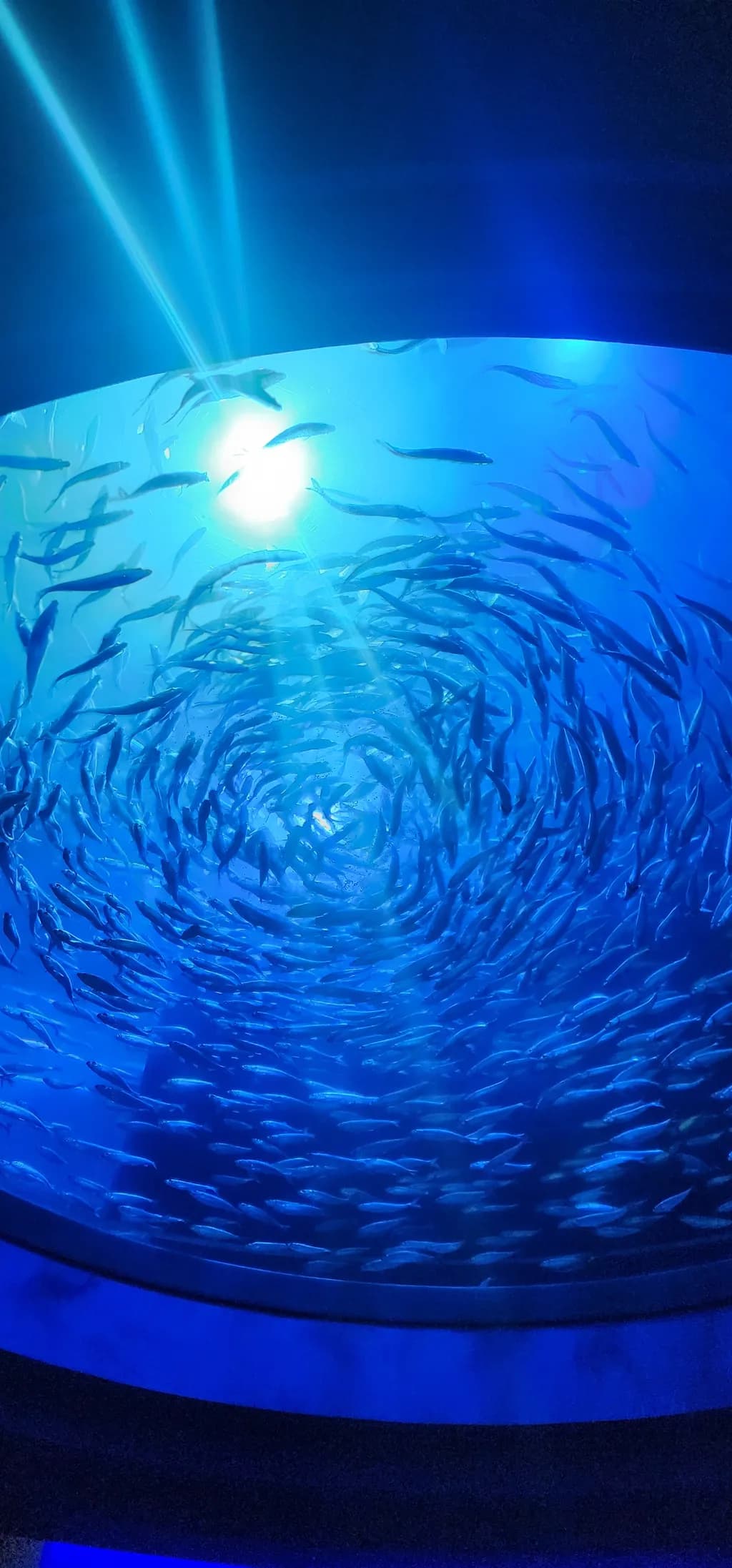 Aqueous Spiral